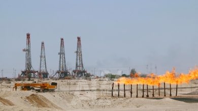 مدير الوكالة فاتح بيرول أعرب عن أمله أن تخفف زيادة إنتاج النفط من أمريكا والبرازيل الضغط على الأسعار