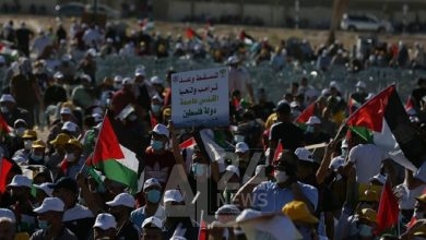 les colons ont récemment intensifié leurs agressions contre les palestiniens et leurs biens.