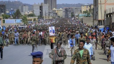 قال بيان الحكومة إن الهدف من العفو هو "تمهيد الطريق لحل دائم لمشاكل إثيوبيا بطريقة سلمية وغير عنيفة".