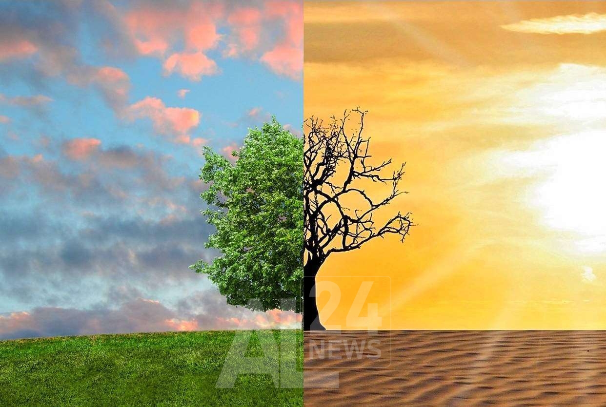 سيحدد صندوق النقد الدولي إمكانية الوصول لقروض صندوق المرونة والاستدامة على أساس كل حالة بشكل منفصل وبالنظر إلى قدرة البلدان على تحمل الديون.
