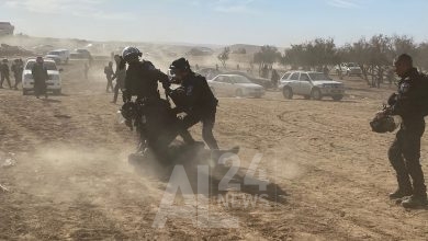 الصندوق القومي اليهودي يقوم بزراعة الأشجار