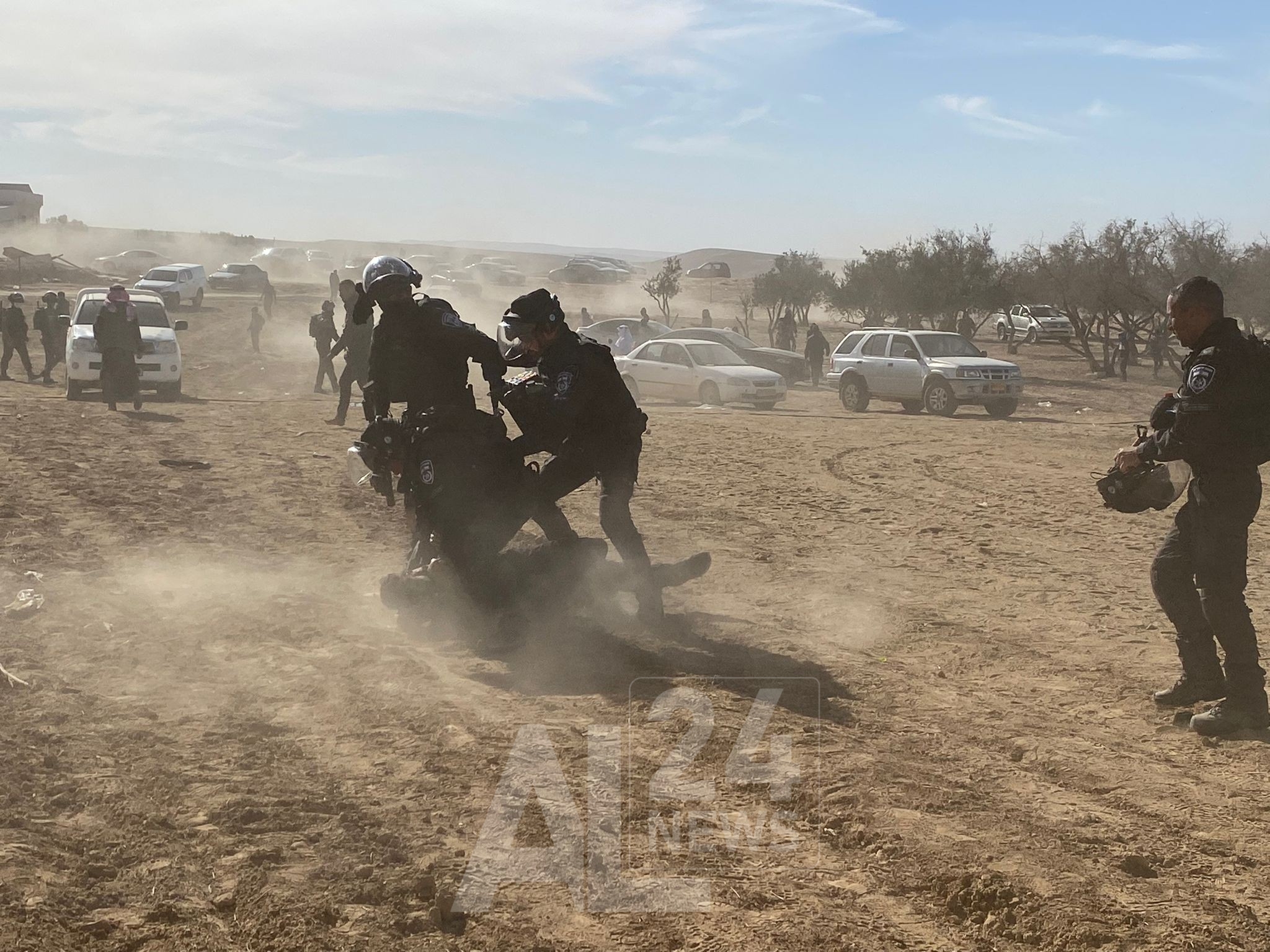 الصندوق القومي اليهودي يقوم بزراعة الأشجار