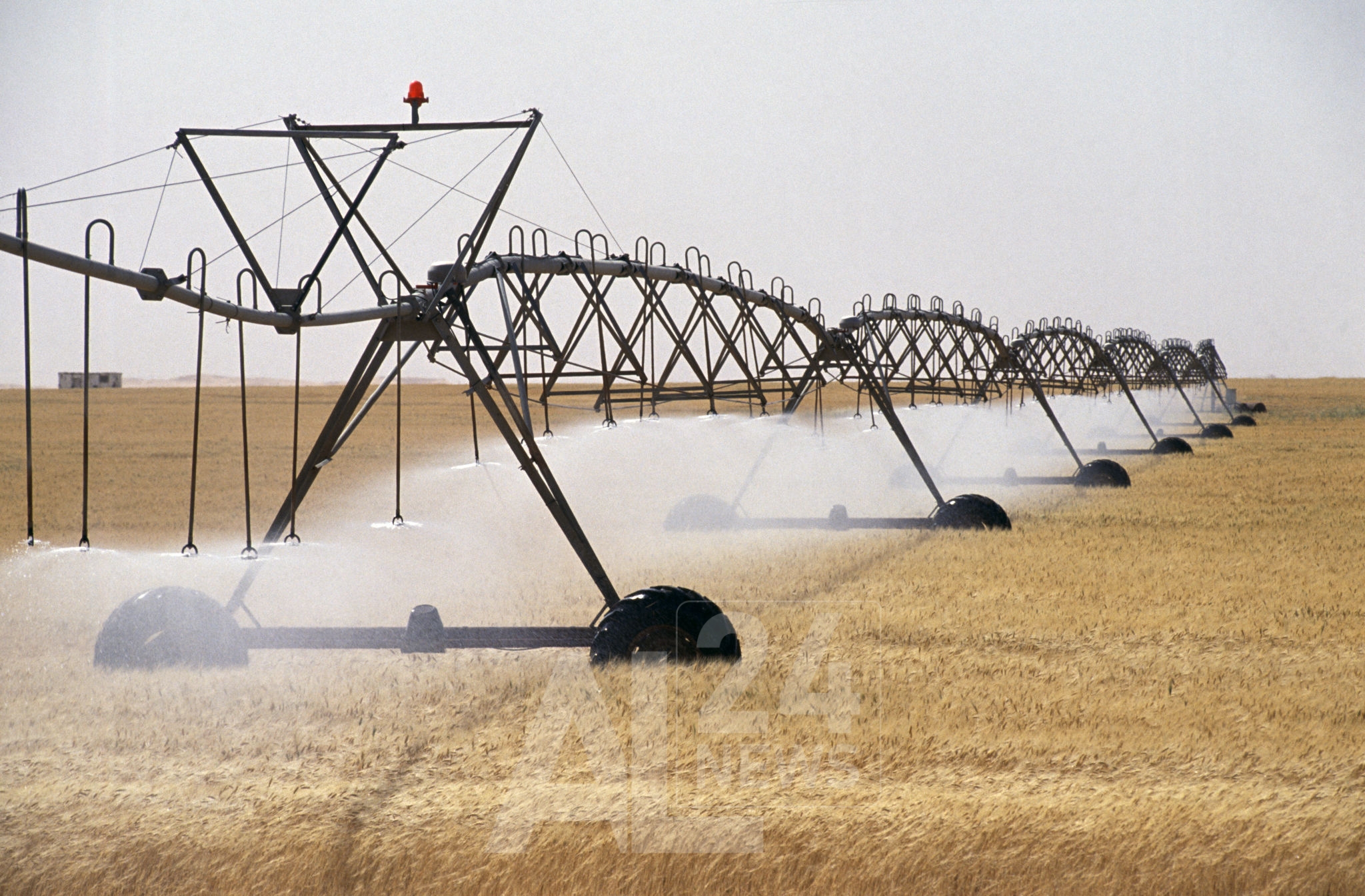 الجزائر اتخذت كافة احتياطاتها لضمان تغطية السوق الوطنية وتلبية كافة احتياجات المواطنين من الحبوب