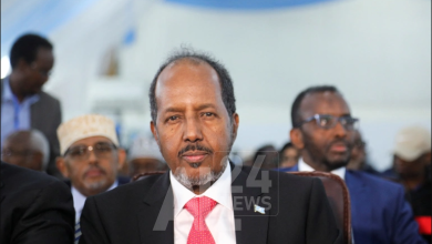 حسن شيخ محمود