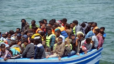 تم تبني الإعلان المكون من 13 صفحة بالإجماع من قبل الدول الأعضاء في الأمم المتحدة التي حضرت اجتماعًا استمر أربعة أيام