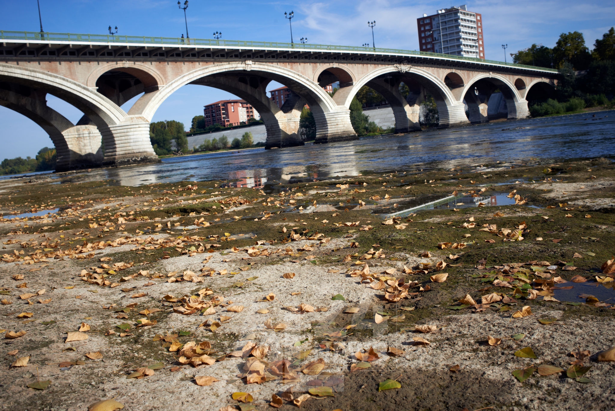 تتعرض مناطق كثيرة من القارة الأوروبية لموجات متعاقبة من الحر الشديد