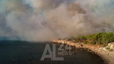 فرق الإطفاء تكافح لإخماد حريق غابات في جنوب البلاد لليوم الثاني على التوالي