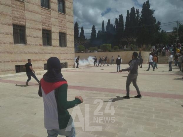 صورة من الأرشيف