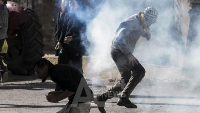 صورة من الأرشيف