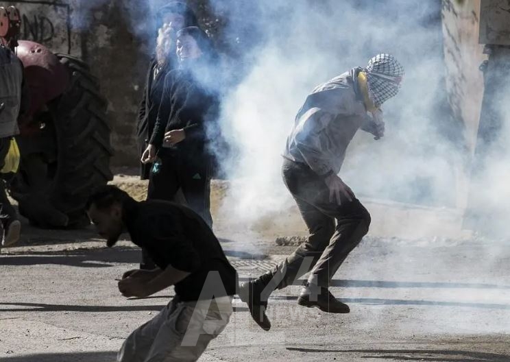 صورة من الأرشيف