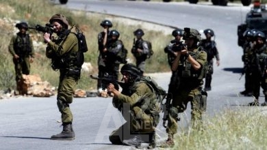 صورة من الأرشيف