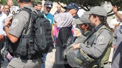 صورة من الأرشيف