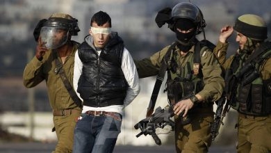 صورة من الأرشيف