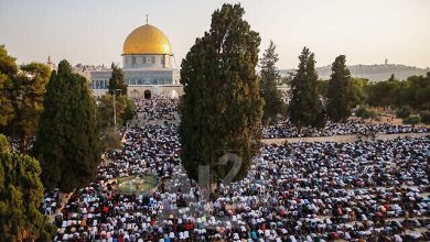 صورة من الأرشيف