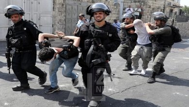 صورة من الأرشيف