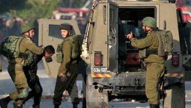 صورة من الأرشيف