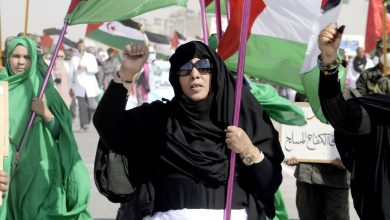 من احتفالات الصحراويين بالذكرى الـ 50 لتأسيس جبهة البوليساربو واندلاع كفاح المسلح ضد الاحتلال المغربي