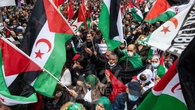 صورة من الأرشيف