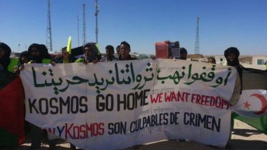 صورة من الأرشيف