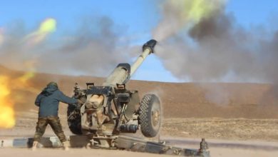 صورة من الأرشيف