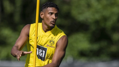 مهاجم بوروسيا دورتموند الألماني، سيباستيان هالر