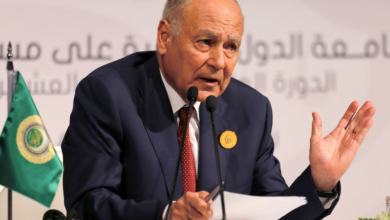 الأمين العام لجامعة الدول العربية، أحمد أبو الغيط