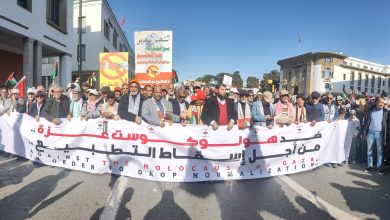 صورة من الأرشيف