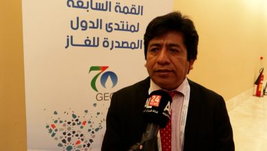 نائب وزير شؤون خارجية بوليفيا، استيبان إيلمر كاتارينا ماماني