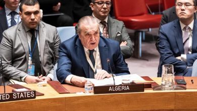 صورة من الأرشيف