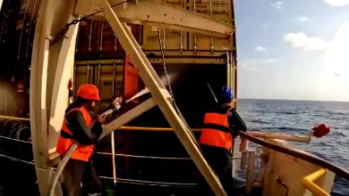 صورة من الأرشيف