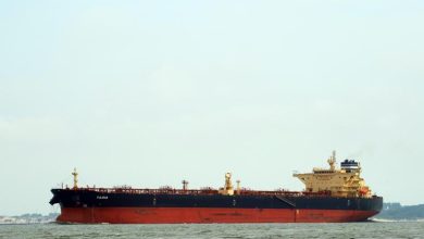 صورة من الأرشيف