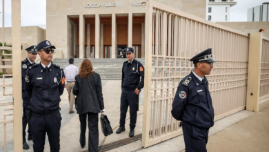 صورة من الأرشيف