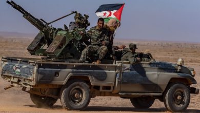 صورة من الأرشيف