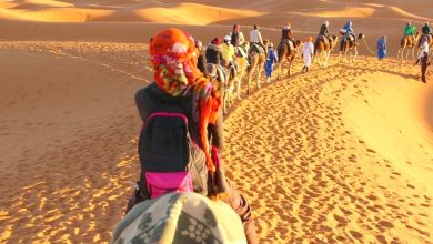 صورة من الأرشيف