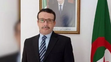 سفير الجزائر في جنوب إفريقيا، سعد معاندي