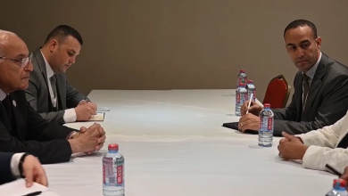 محادثات بين عطاف والمديرة التنفيذية لوكالة التنمية الإفريقية