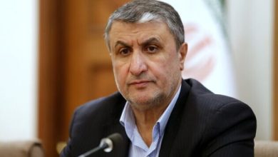 محمد إسلامي