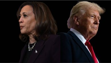 ترامب وهاريس