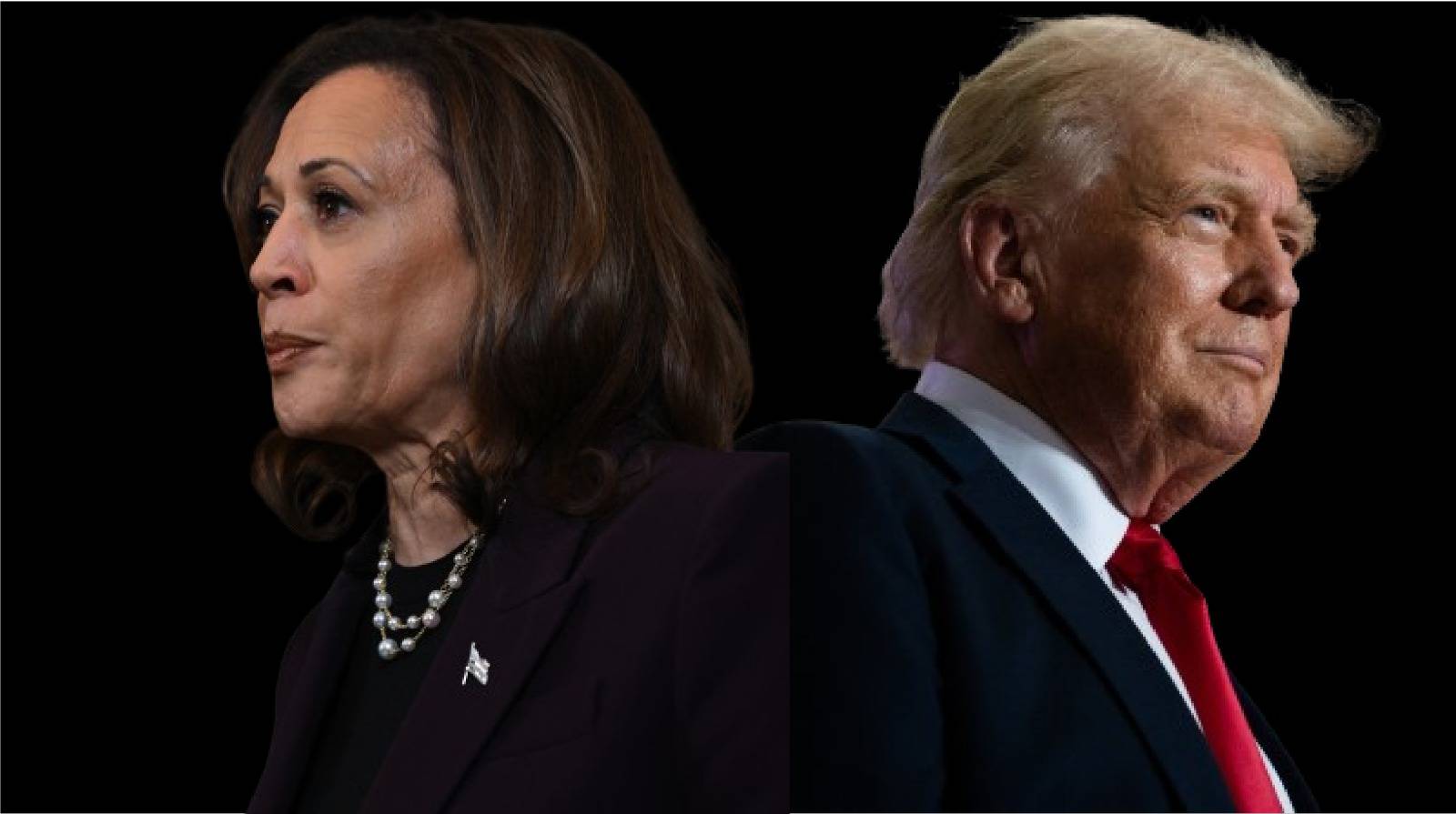 ترامب وهاريس