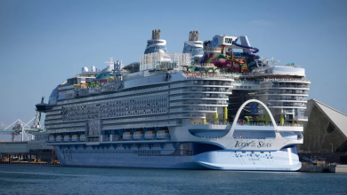 icon of the seas