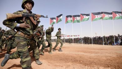 The Sahrawi Army