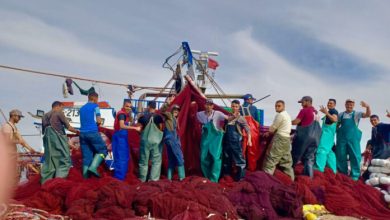 sociétés françaises