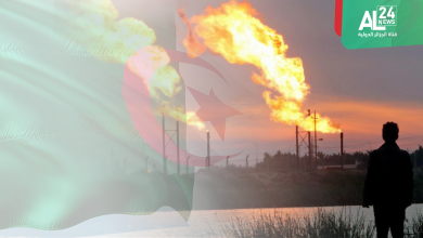 الأمن الطاقوي ..أهم رهانات الجزائر