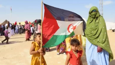 الصحراء الغربية