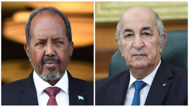 الرئيس الجزائري عبد المجيد تبون ونظيره الصومالي حسن شيخ محمود