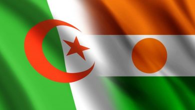تعاون بين الجزائر والنيجر