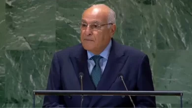 وزير الخارجية الجزائري أحمد عطاف
