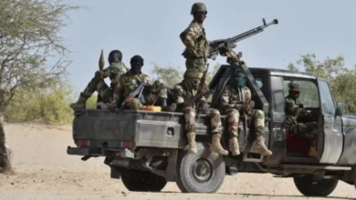 Niger 100terroristes