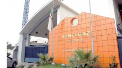 مجمع سونلغاز الجزائري