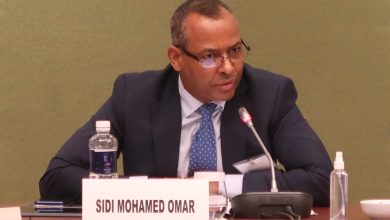 Morocco is the Greatest Obstacle to a Peaceful Solution in Western Sahara Conflict, Says Sahrawi Diplomat